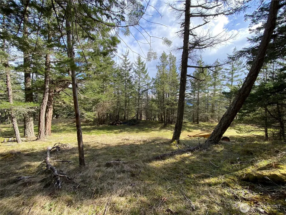 9 Tomihi Drive Photo 19