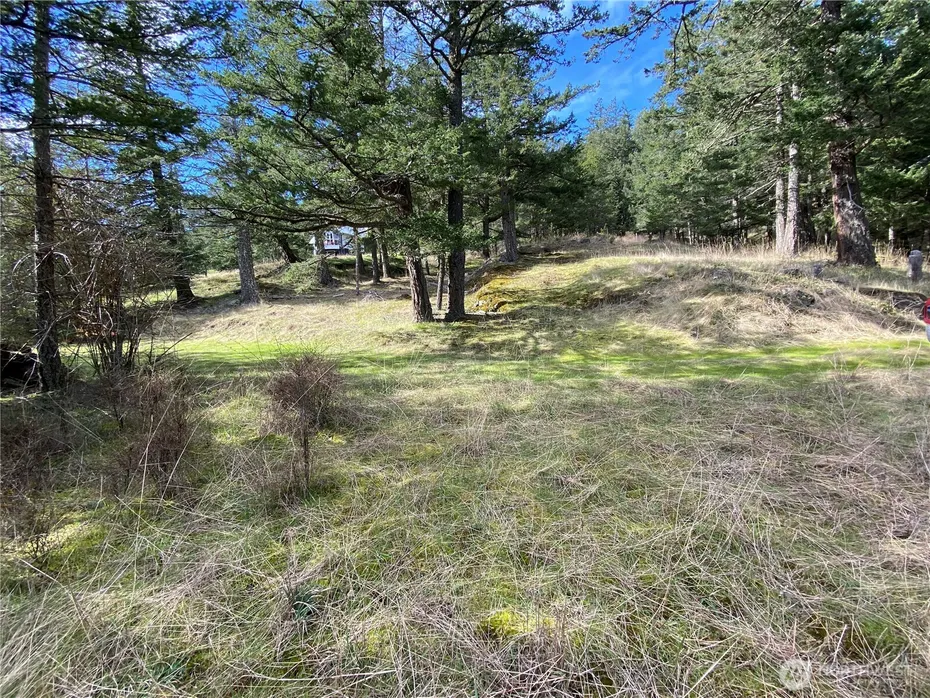 9 Tomihi Drive Photo 24