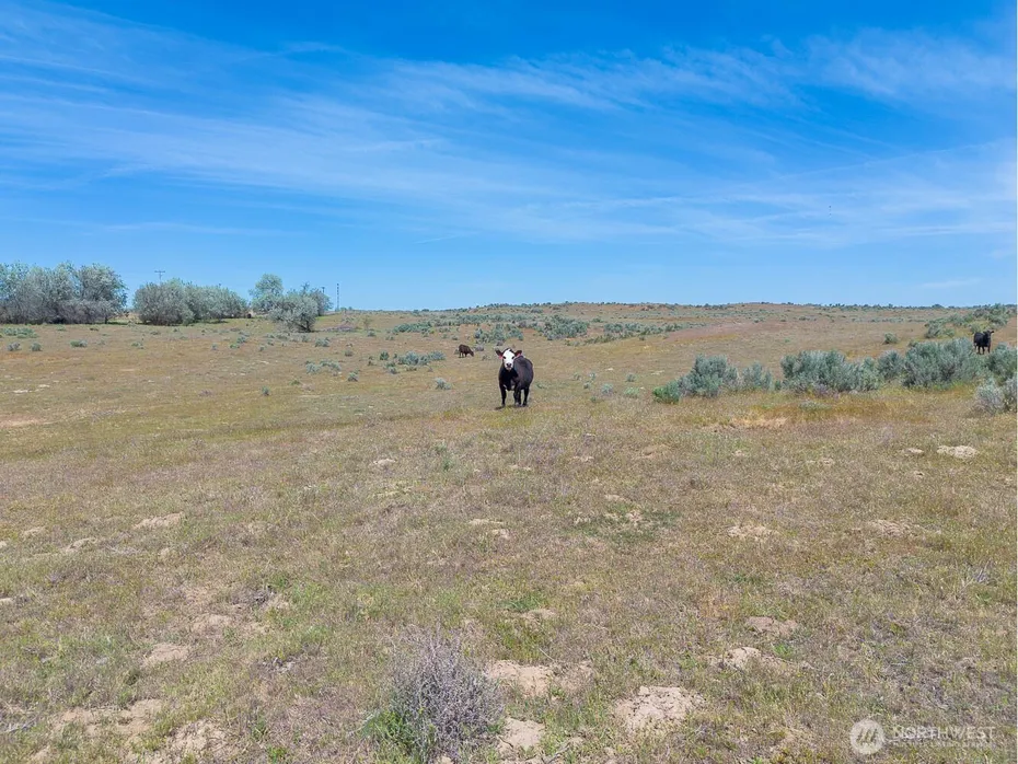 4601 SR 17 Photo 10