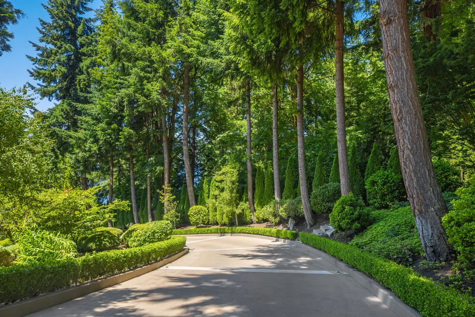 Mercer Island Residential Photo 30
