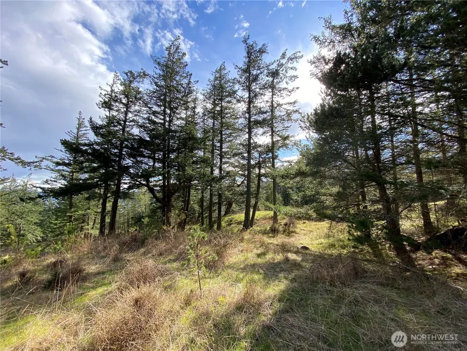 9 Tomihi Drive Photo 16