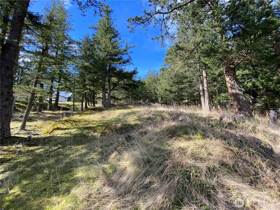 9 Tomihi Drive Photo 22