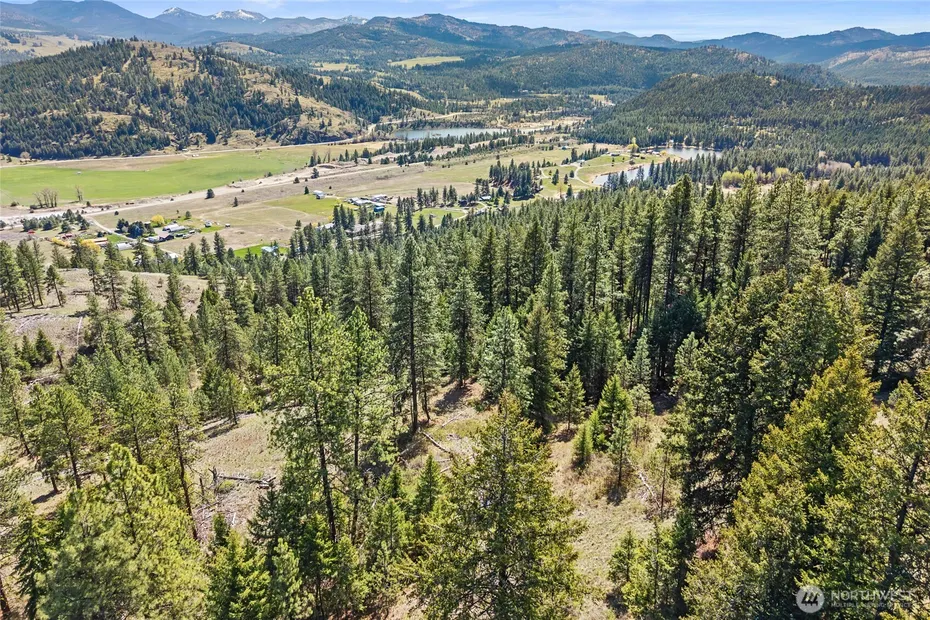 45 XXXX Klondike Photo 12