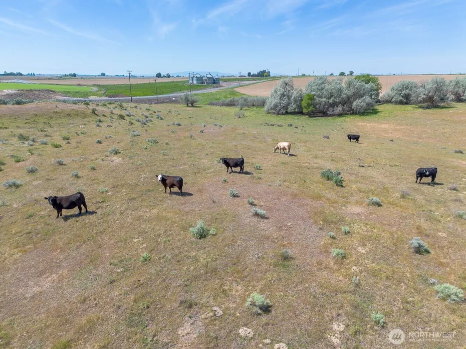 4601 SR 17 Photo 9