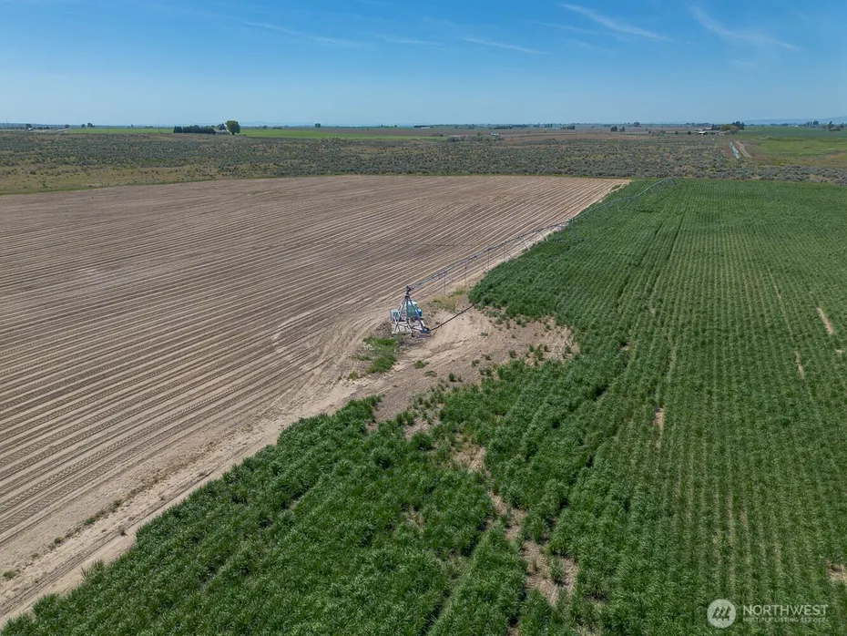 4601 SR 17 Photo 5