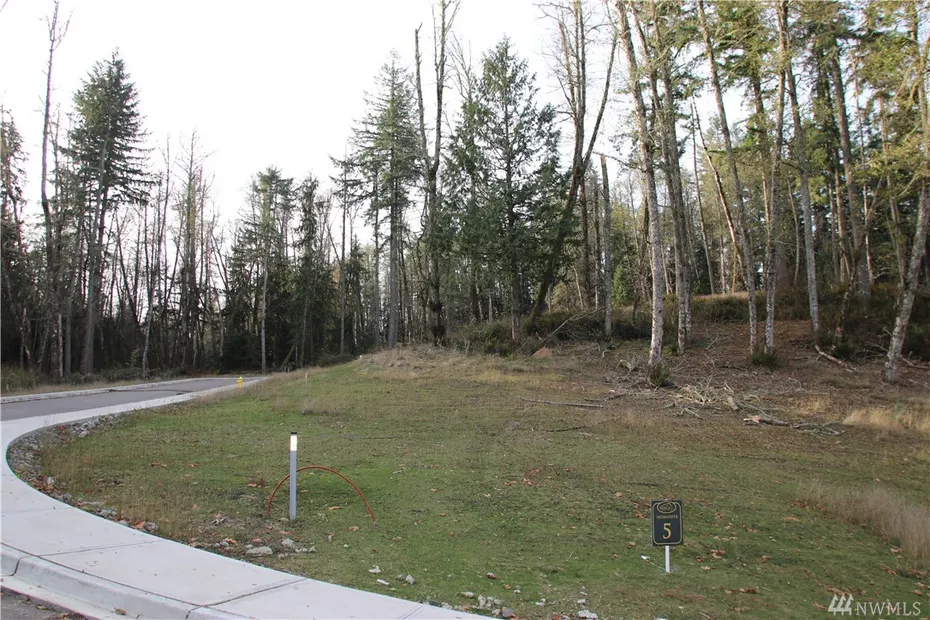 17845 SE Cougar Mountain Dr #Lot 5 Photo 1