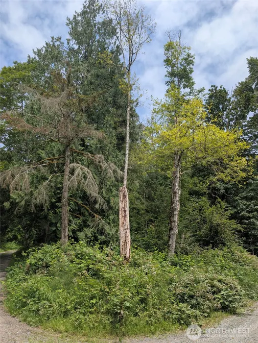 25314 Ebey Mountain Road Photo 1