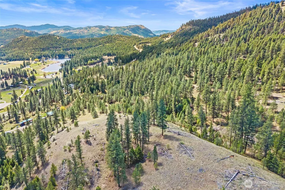 45 XXXX Klondike Photo 16