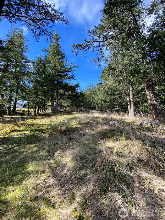 9 Tomihi Drive Photo 21