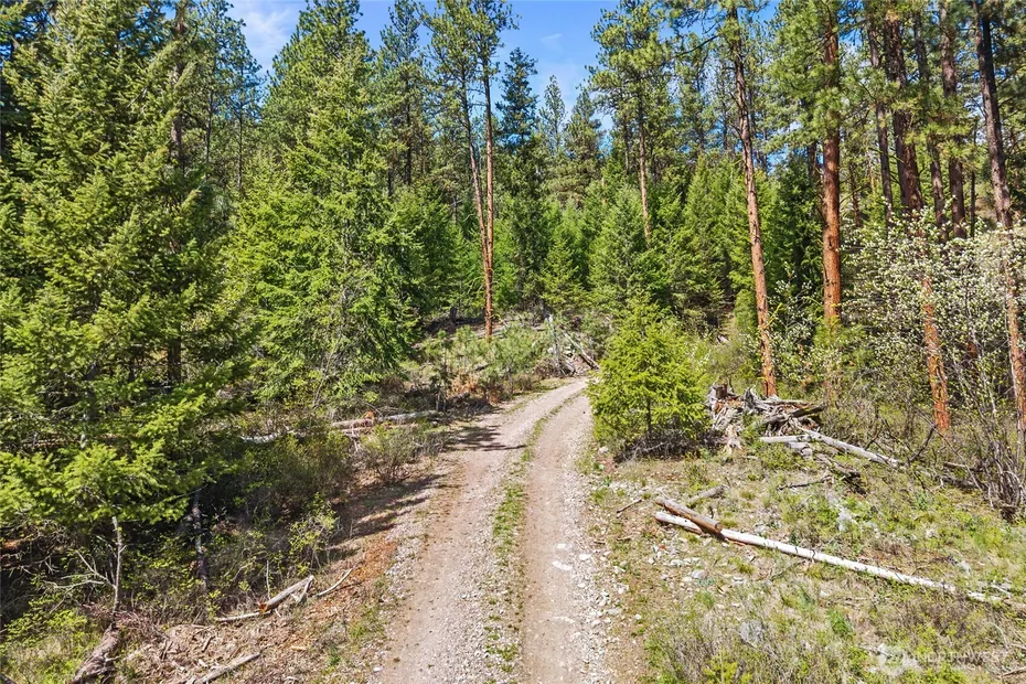 45 XXXX Klondike Photo 4