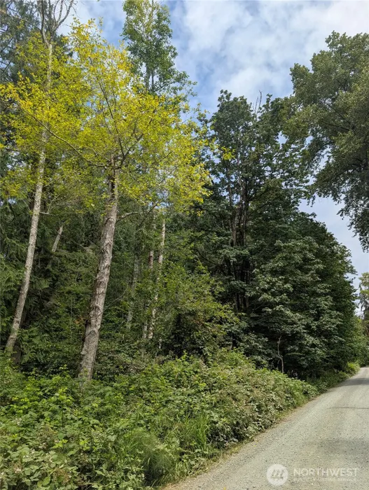 25314 Ebey Mountain Road Photo 2