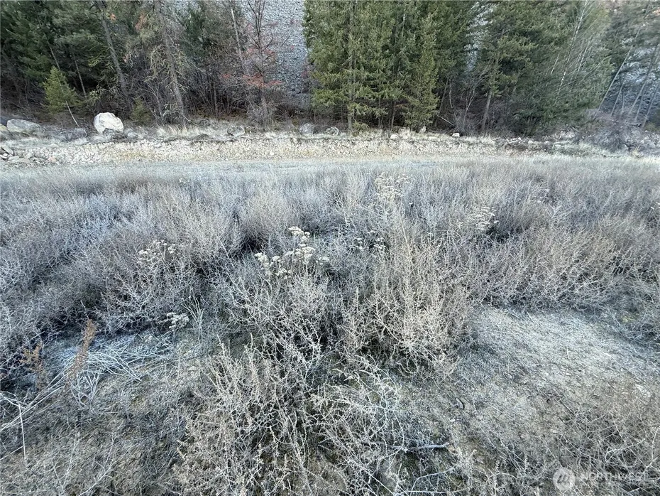 39135 Sterling Valley Road N Photo 7
