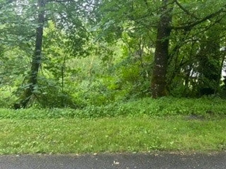 0 NE 67th Place Photo 11