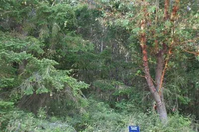 0 Lot 48 Cessna Ave
