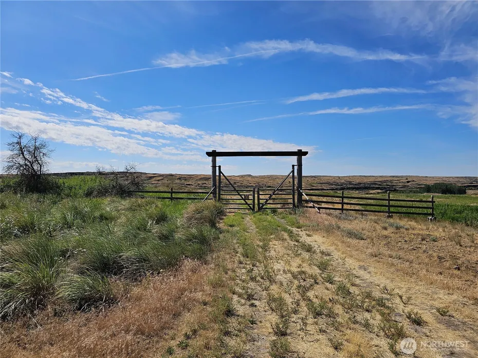 24414 Seven Springs Dairy Road E Photo 2
