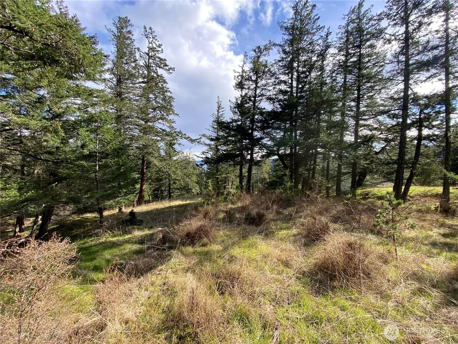 9 Tomihi Drive Photo 18