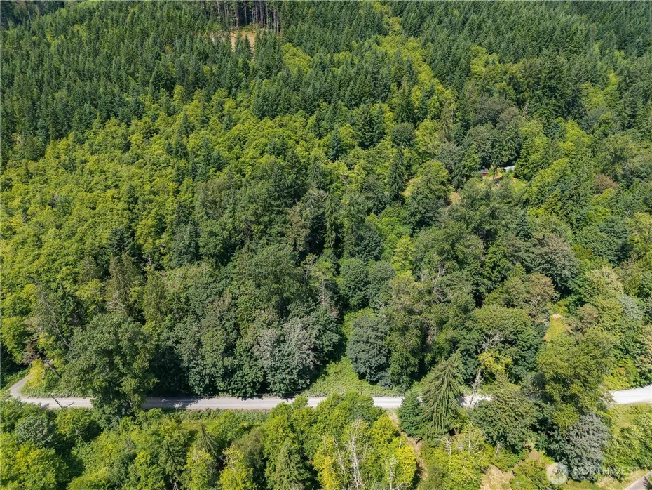 25314 Ebey Mountain Road Photo 11