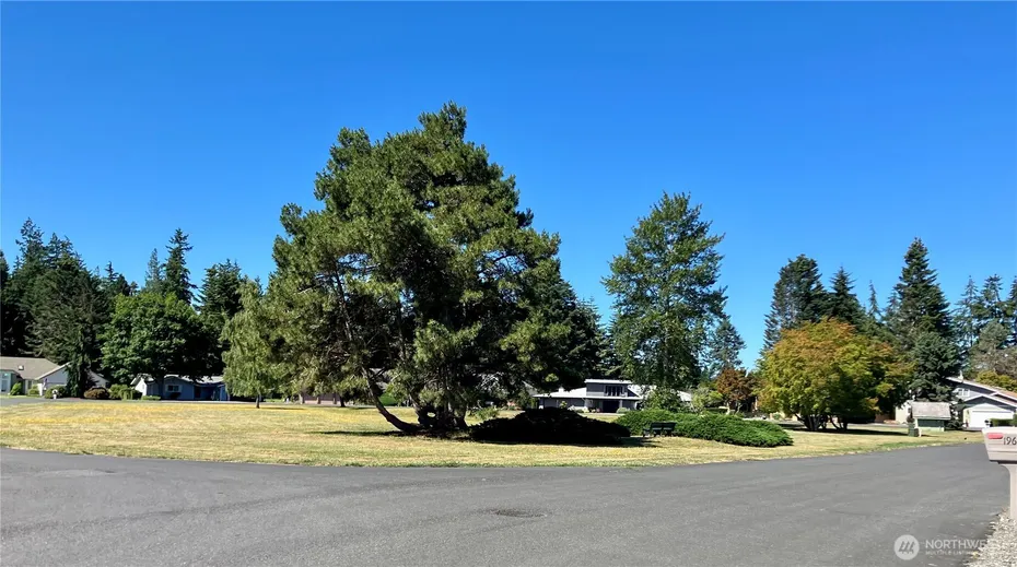 192 Hurricane Ridge Drive Photo 18