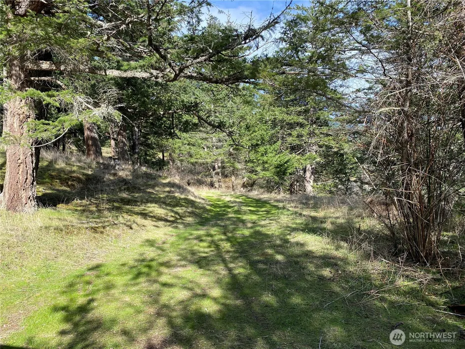 9 Tomihi Drive Photo 20